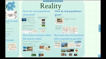 Understanding Prezi 2: A Sample Process