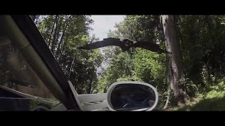 Spyker Supercar And Eagle By Sony Action Cam Mini