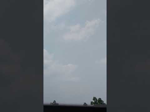 হেলিকপ্টার মিলন #foryou #viralvideo #ihavethisthingwithplants #milon