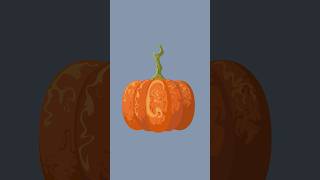 Making pumpkin illustrations because it’s Halloween season (adobe illustrator)