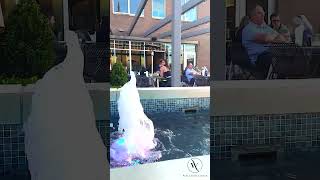 WHICH RALEIGH, NC SUBURB IS BEST FOR YOU? - PART 12