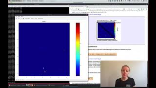 Resting State FSLNETS: Pre-Practical Introduction Video