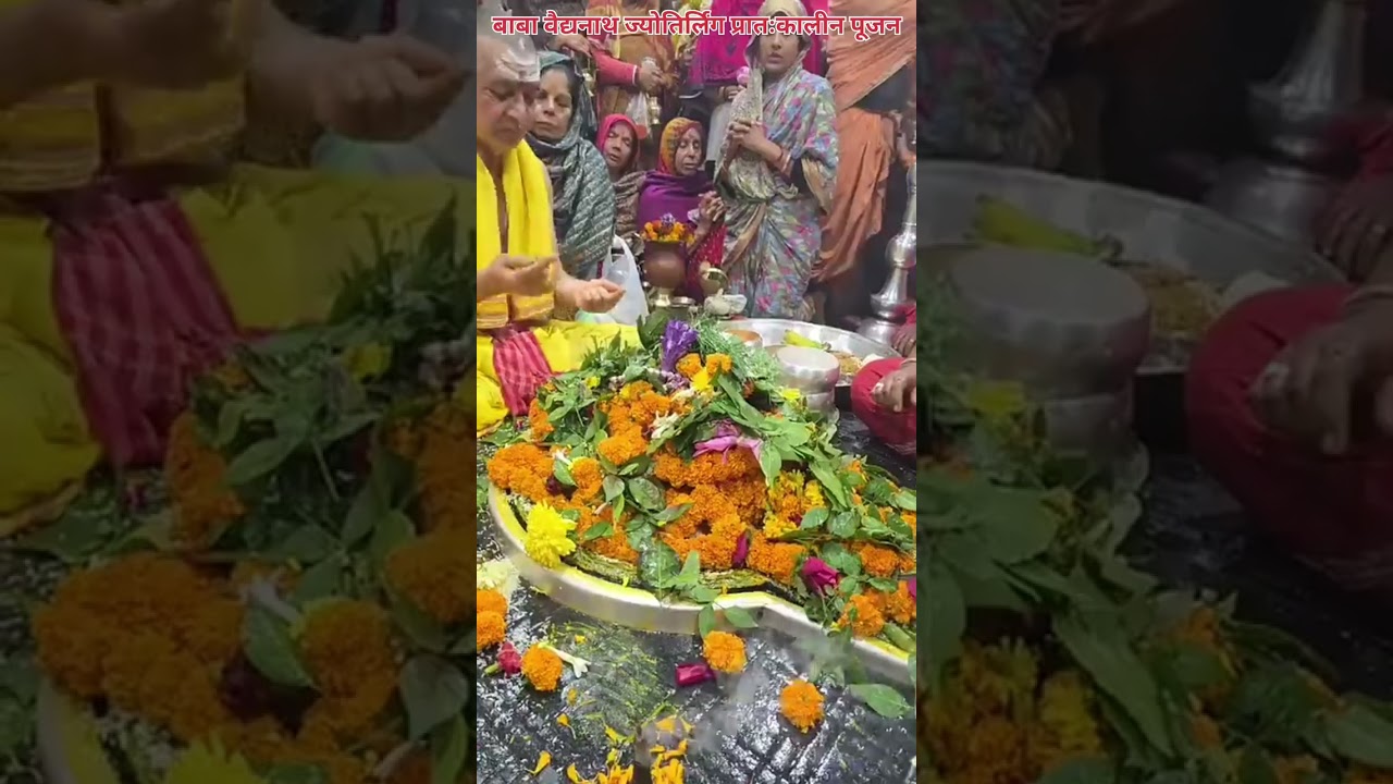 🌺🌿⚘️ बाबा वैद्यनाथ ज्योतिर्लिंग प्रातःकालीन पूजन 🌺🌿⚘️ 28/12/25 