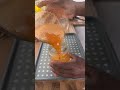 Golden Glow Carrot Juice Live highlight