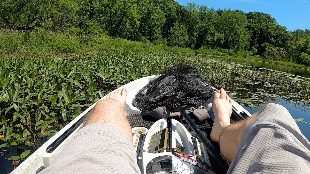 Thought I'd be Punching… Small Pond Bass Fishing