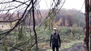 Trail løb i Slagelse Lystskov
