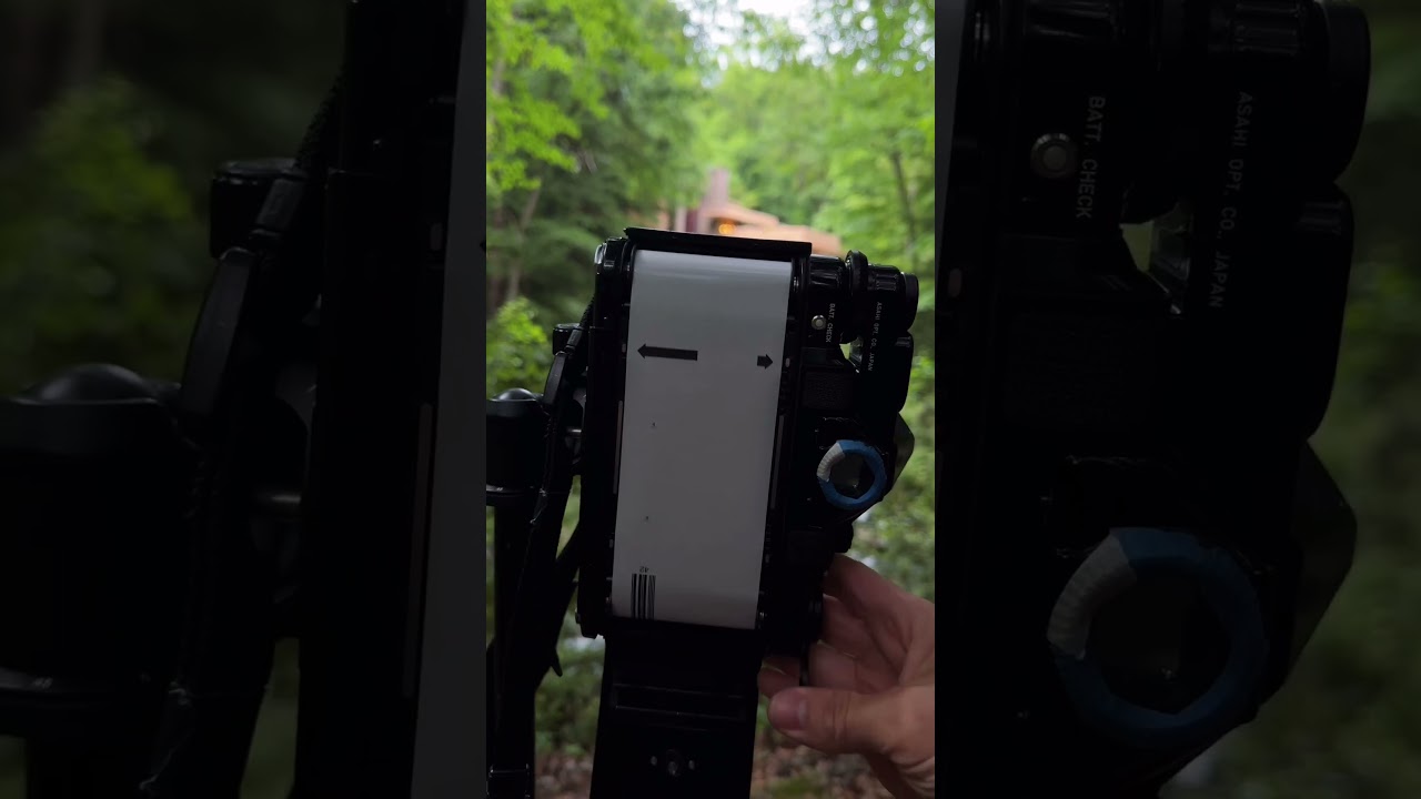 Kodak Gold 200 vs. LomoChrome Purple!  Which do you prefer?