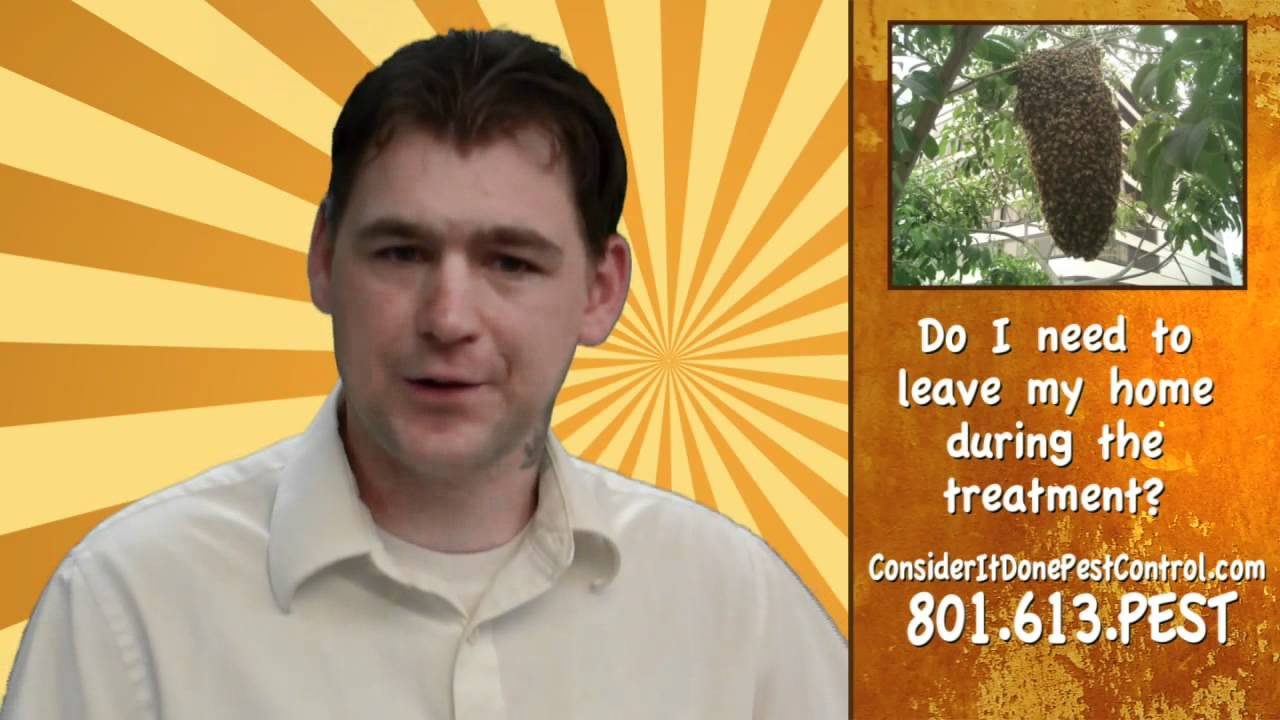 Do I need to leave my home during pest control? Pest Control Salt