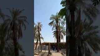 Madina Historical Place Ziyarat E Medina Urdu Vlog