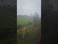 First Rain After Summer Feels Different  #nature #lifeisbutadream #travel #dothingsyoudontwanttodo