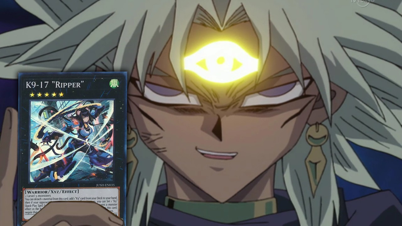 신을 보좌할 새로운 용병을 찾았다 [K9 + 라]