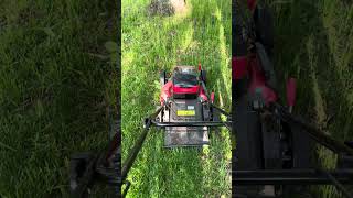MOWING MY OVERGROWN LAWN #lawnmaintenance #lawncare #lawnmower #lawn #grass
