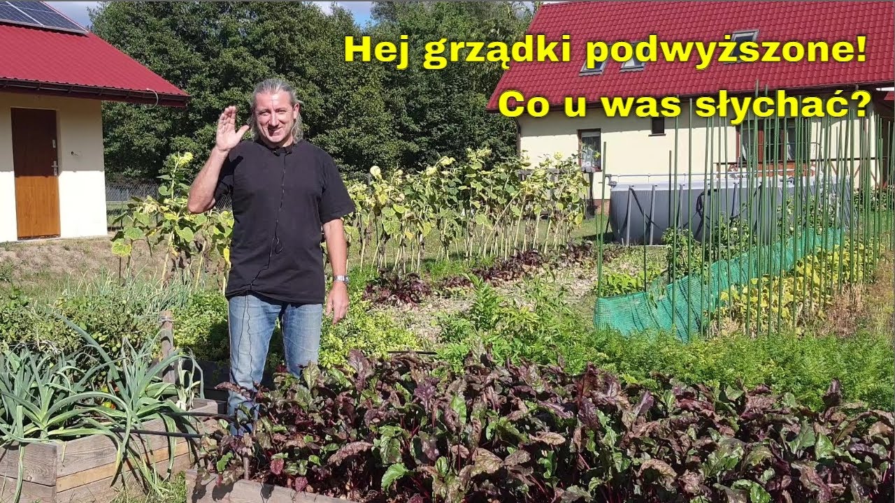 Grządki podwyższone - czy coś w nich urosło? Warzywa w grządkach podniesionych. Zagony podniesione.
