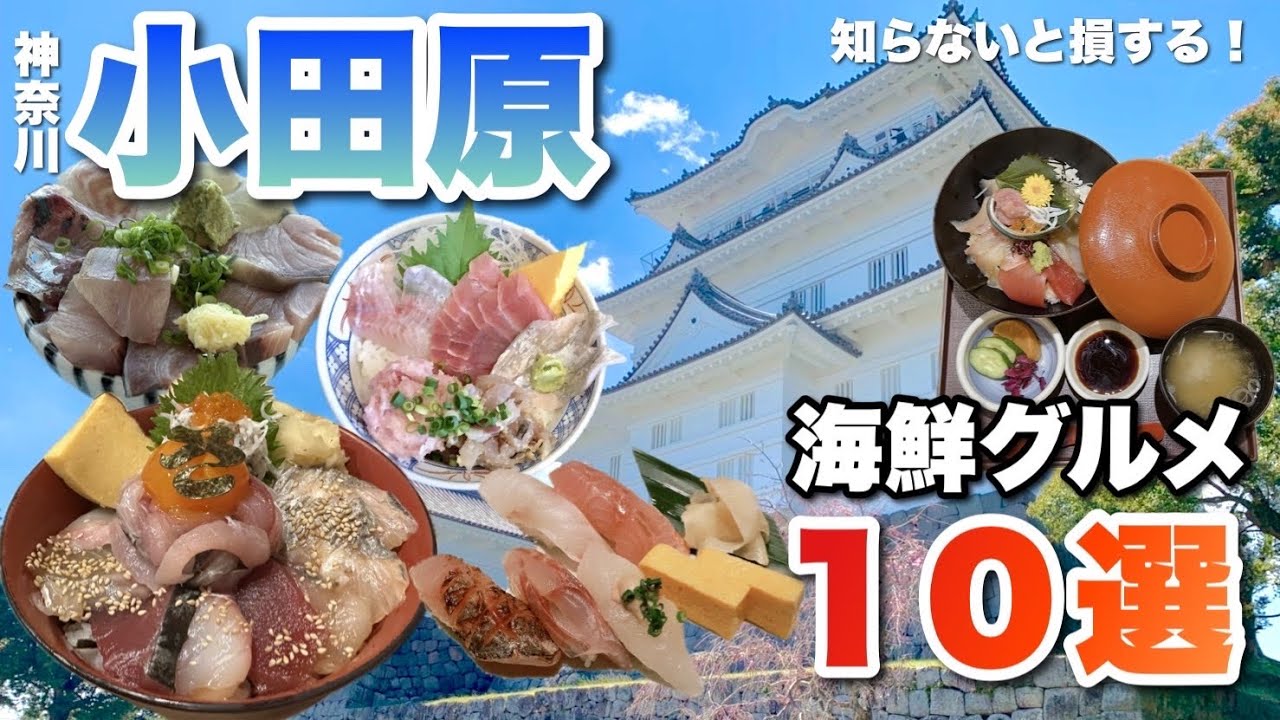 【旅行前必見】小田原の海鮮グルメ店10選！実際に食べた中から厳選♪