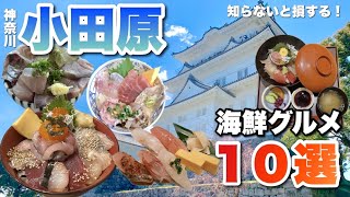 【旅行前必見】小田原の海鮮グルメ店10選！実際に食べた中から厳選♪