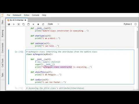 021 Tutorial 20 Python Inheritance