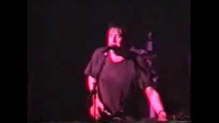 The Macc Lads - I Love Macc (Live)
