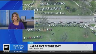 Spring breakers flock to the Fort Worth Zoo