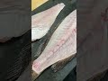 オオモンハタしゃぶ #shorts