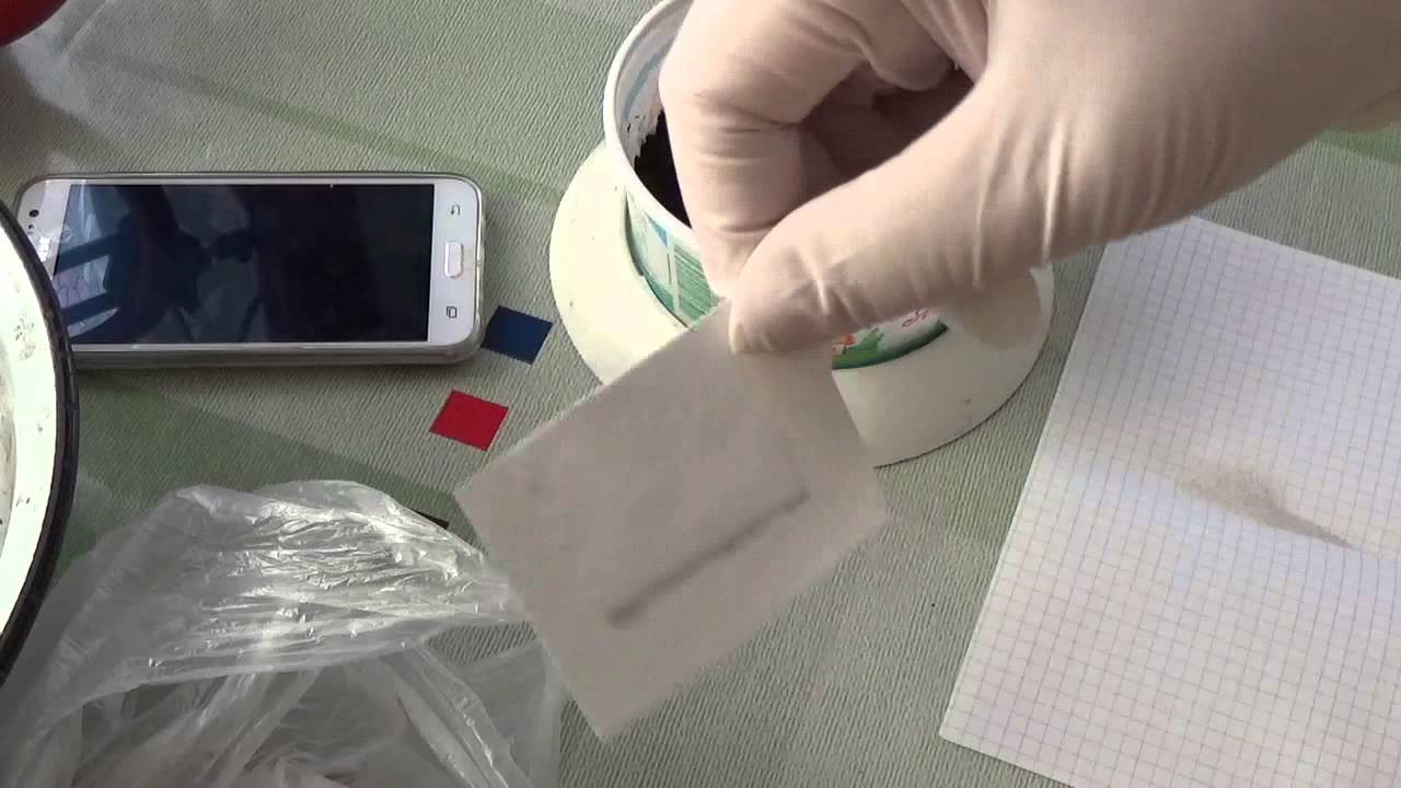 #275.посев кальцеолярии