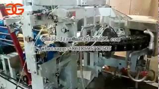 Famous Automatic Crispy Ice Cream Cone Machine Video Wealth