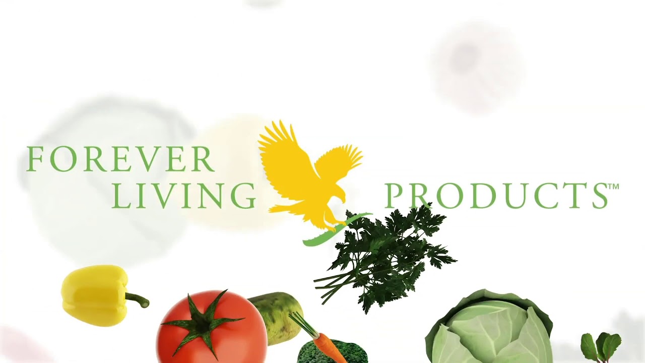 Nabil LAYACHI - Forever Fiber