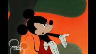 Mickey Mouse Confronts Syndrome