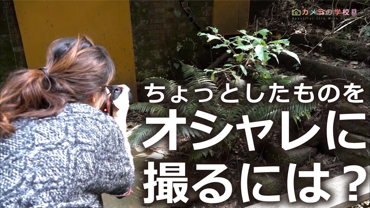 Iso感度 写真のかっこいい撮り方 シャッタースピード 横須賀編6話 Youtube