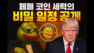 페페 코인 세력과 재단의 비밀 목표가 일정 공개