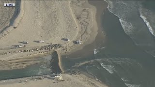 Full Huntington Beach oil spill causes major ecological damage News