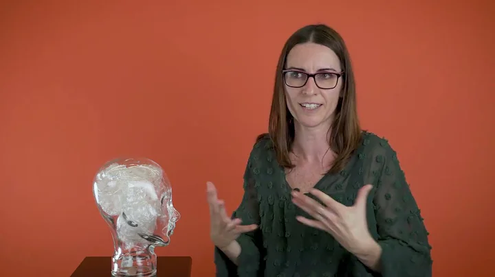 Meet the Brains - Judith Dominguez-Borras...  Emot...