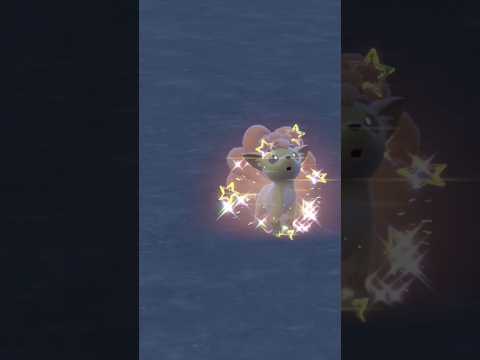 色違いロコン遭遇 #ポケモン #ポケモンsv