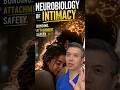 Neurobiology vs. Religion: Sexual Pressure &amp; Risk Explained