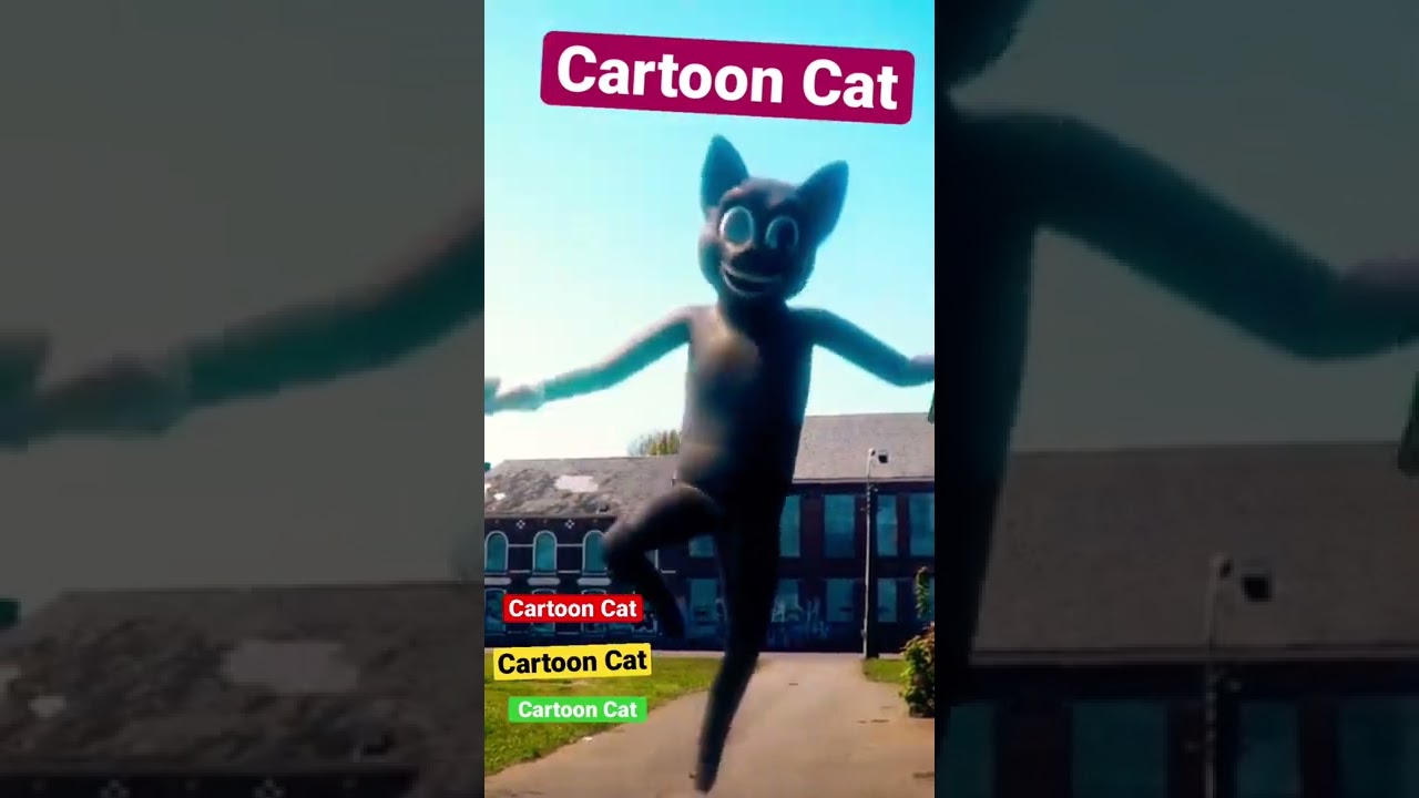 Cartoon Cat 🐱 YouTube