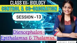 Class XII Biology - Control&Co-ordination - Human Nervous System-Diencephalon- Epithalamus&Thalamus. screenshot 5