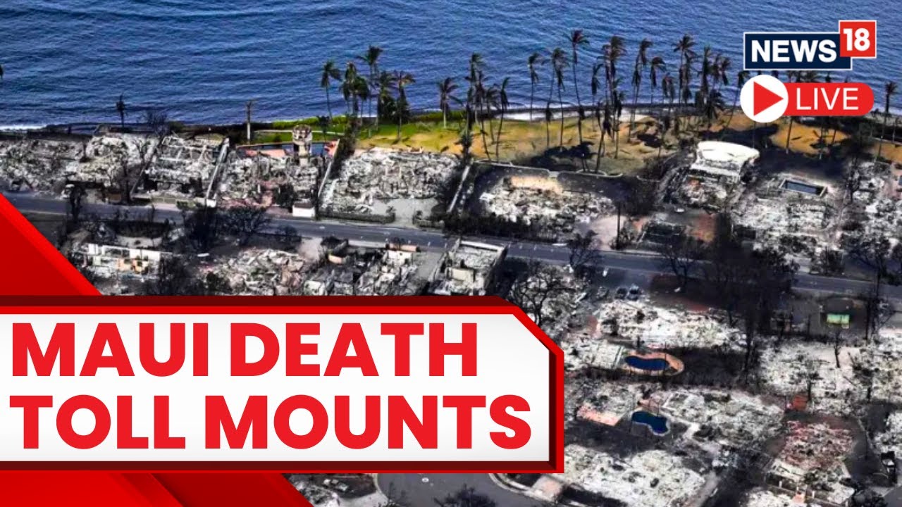 Hawaii News Now Today Maui Wildfire Death Toll Hits More Than 50