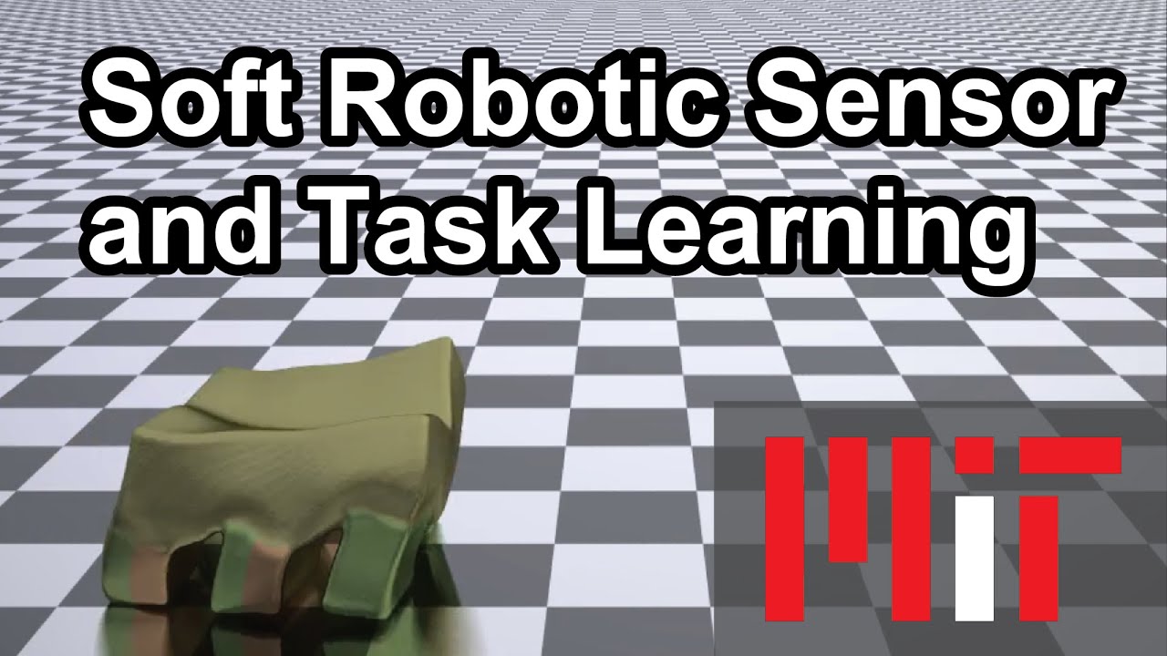 Co-Learning of Task and Sensor Placement for Soft Robotics (Teaser)