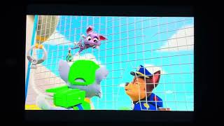 Paw Patrol Rockys Cat-Astrophe Chase Allergy Sneezing