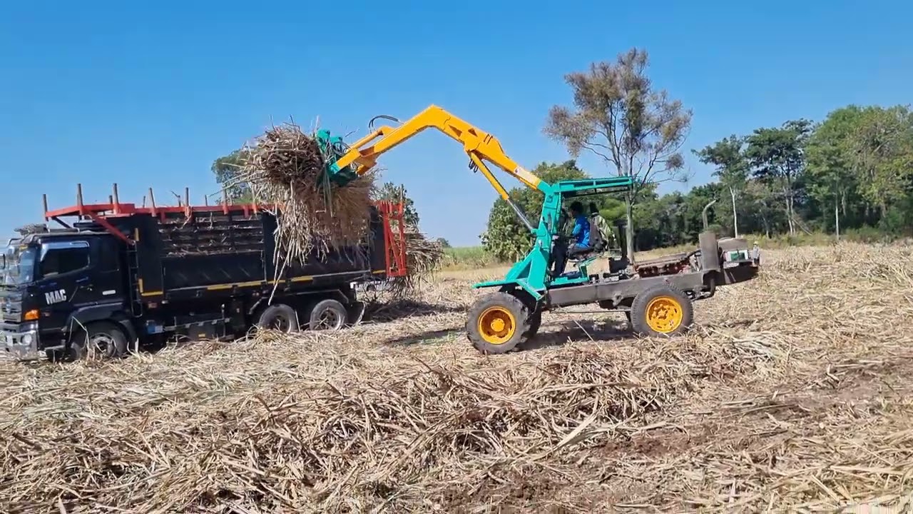 รถคีบอ้อยผาขาว