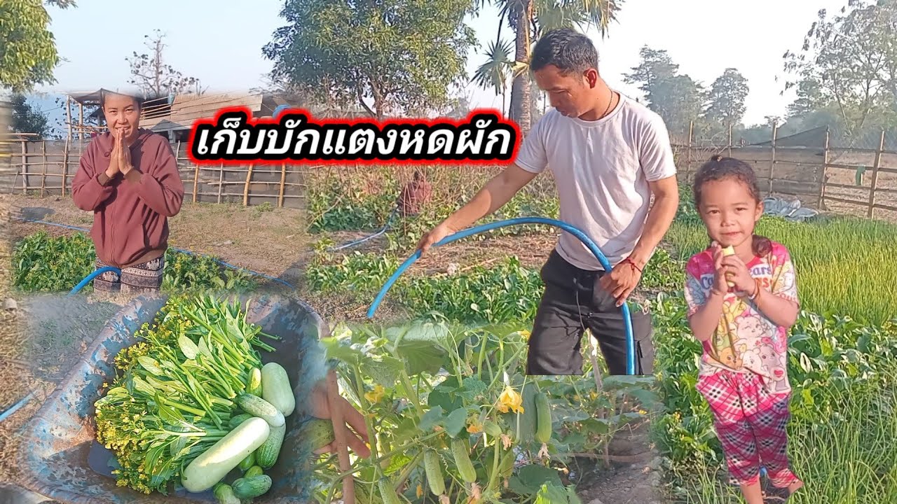 19 มกราคม ค.ศ. 2026