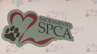 Sacramento SPCA Rescues Animals from Wildfire Zones