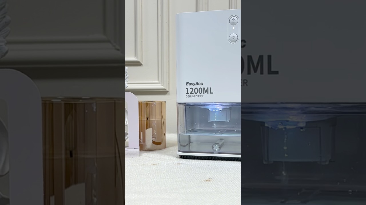 The best gift for the room.❤️EasyAcc Dehumidifier!