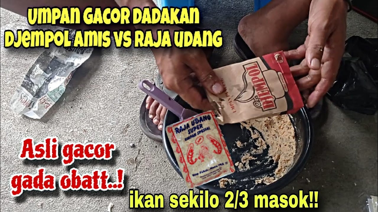 GACOR GADA OBAT‼️UMPAN DADAKAN DJEMPOL AMIS RAJA UDANG UNTUK IKAN SEKILO 2/3 MANCING IKAN MAS HARIAN