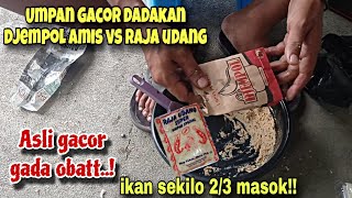 GACOR GADA OBAT‼️SURPRISE BAIT DJEMPOL KING SHRIMP SOUND FOR 2/3 KILO FISH DAILY CARP FISHING