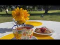 №12 Утренний чай в "мире животных" на моём бэкъярде.