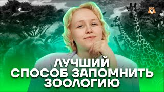 Лучший способ запомнить зоологию | Биология ОГЭ 2023 | Умскул