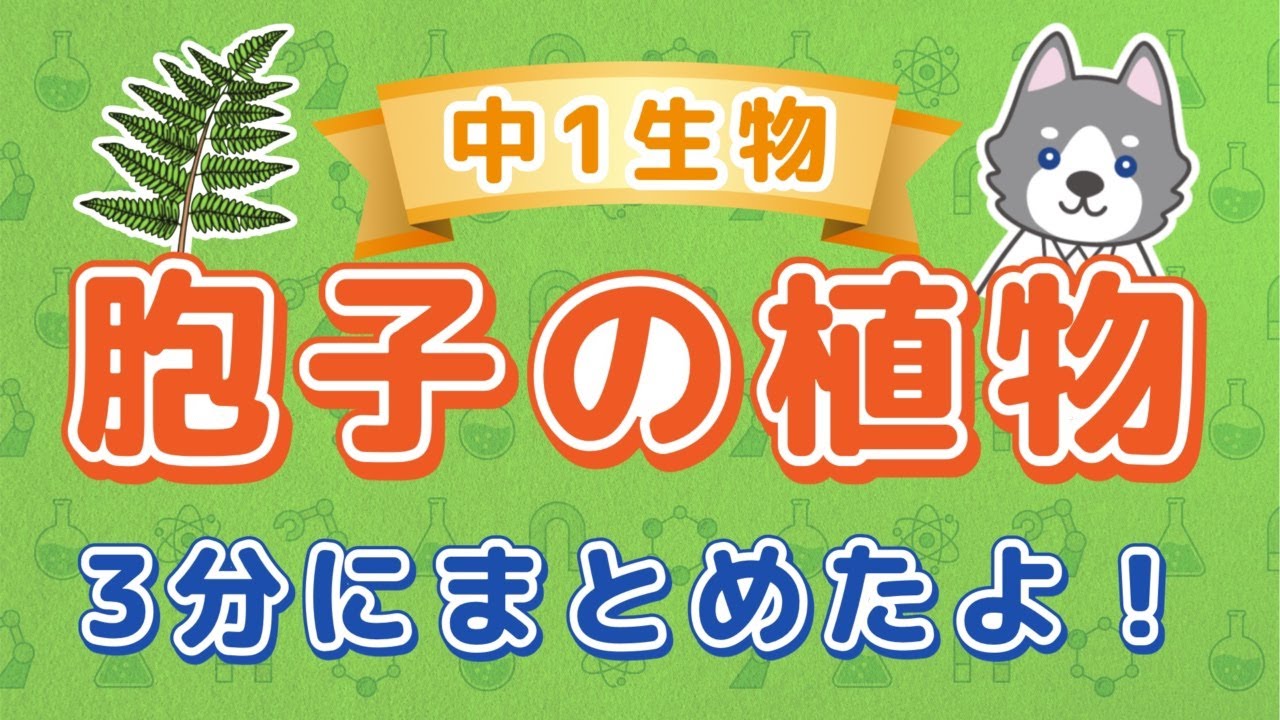 中1理科『胞子で増える植物』