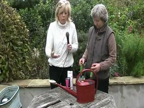 Haws watering can