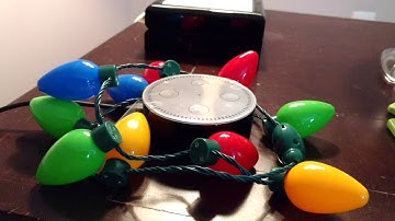 Largest Cities Skill Demo Video #AmazonAlexaSkillsChallengeKids