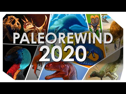 Paleo Rewind 2020 - Reinventing the Past